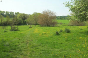 SU0513 : The Close, Cranborne