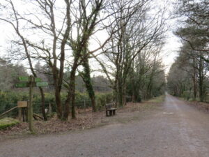 SU0903 : Castleman Trailway, near West Moors