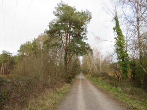 SU0903 : Castleman Trailway, near West Moors