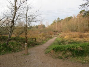 SU1205 : Path into Moors Valley Country Park, near Ringwood