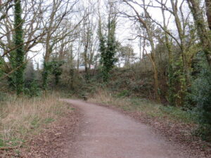 SU1304 : Castleman Trailway, Ashley, near Ringwood