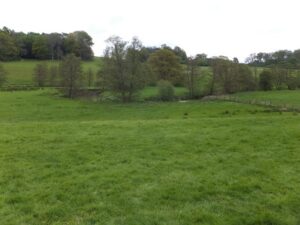 SU8722 : Grassland by the River Rother, Woolbeding Gardens