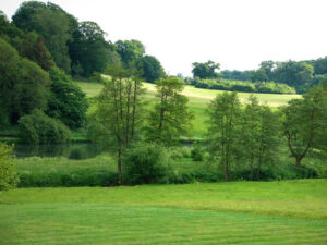 SU8722 : View from Woolbeding, All Hallows churchyard