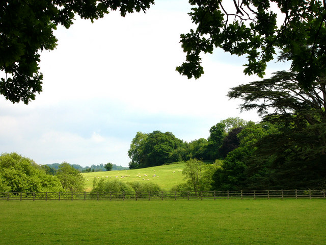 SU8722 : Woolbeding, Eastshaw lane looking east