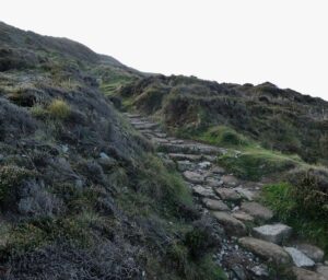 SW7151 : Trevaunance Point - Coastal path