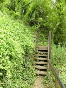 SX4952 : Steps on the South West Coast Path