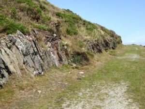 SX5545 : South West Coast Path on Snellings Down