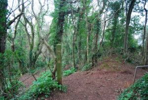 SX9267 : John Musgrave Heritage Trail and South West Coast Path meet, Valley of  Rocks