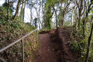 SX9267 : South West Coast Path, Valley of the Rocks