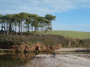 SY0781 : The mouth of the River Otter, by the pebble ridge