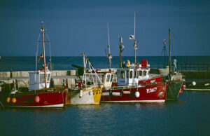 SY3391 : Lyme Regis Harbour