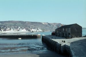 SY3391 : Lyme Regis: The Cobb and the town