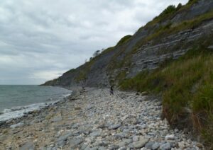 SY3391 : Lyme Regis, cliffs
