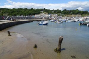 SY3391 : Wooden posts in Lyme Regis harbour