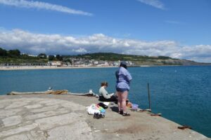 SY3491 : Crabbing on the Cobb