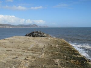 SY3491 : End of The Cobb, Lyme Regis