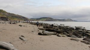 SY3492 : Looking toward Charmouth Beach