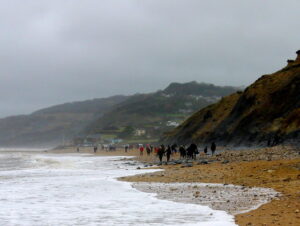 SY3692 : Charmouth Beach