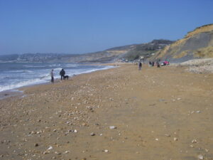 SY3692 : Charmouth Beach