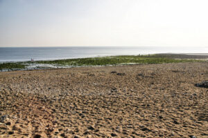 SY3693 : Charmouth Beach