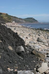 SY3693 : Charmouth Heritage Coast Centre