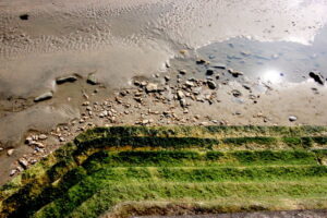 SY3693 : Sea Wall at Charmouth