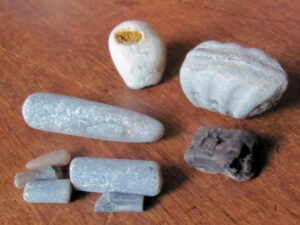 SY3693 : The kind of fossils any child can find at Charmouth