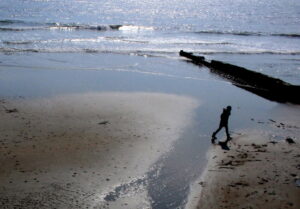 SY3693 : Walking on the Beach