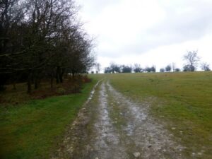 SY3698 : En Route To Lambert's Castle Hill