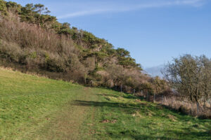 SY4092 : Between Langdon Hill and Golden Cap