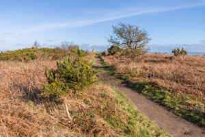 SY4092 : On Golden Cap