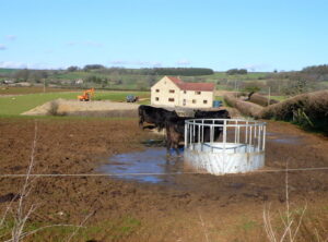 SY4999 : Large New House near Mapperton