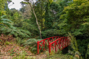 SY5684 : Abbotsbury Subtropical Gardens