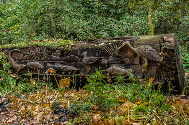 SY5684 : Chainsaw sculpture, Abbotsbury Subtropical Gardens