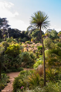 SY5685 : Abbotsbury Subtropical Gardens