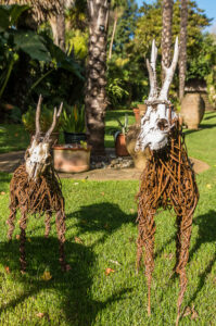 SY5685 : Deer sculptures, Abbotsbury Subtropical Gardens