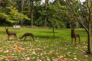 SY5685 : Deer statues, Abbotsbury Subtropical Gardens
