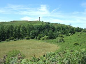SY6187 : Hardy Monument from east