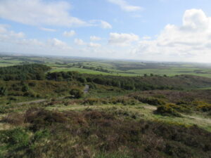 SY6187 : View from Hardy's monument