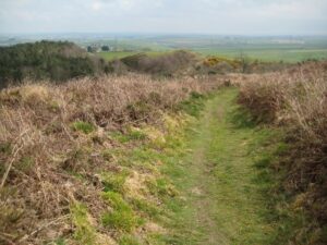 SY6187 : View to the east from The Hardy Monument