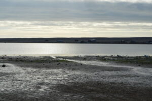 SY6576 : Mudflats, The Fleet