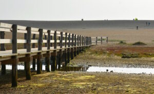 SY6675 : Boardwalk bridge over the Fleet, near Wyke Regis, Dorset