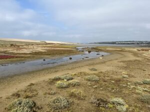 SY6675 : Lagoon behind Chesil Beach