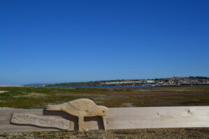 SY6675 : Oyster Catcher at Chesil