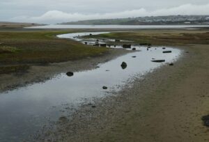 SY6675 : Stream feeding The Fleet