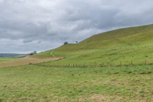 SY6688 : Maiden Castle