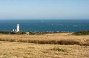 SY6769 : Fields on Portland Bill