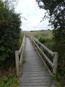 SY6779 : Footbridge in Radipole Lake nature reserve