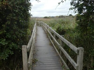 SY6779 : Footbridge in Radipole Lake nature reserve