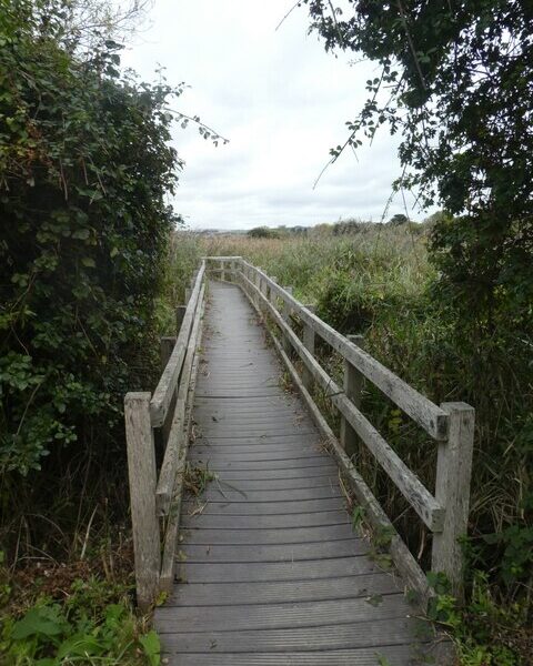 SY6779 : Footbridge in Radipole Lake nature reserve